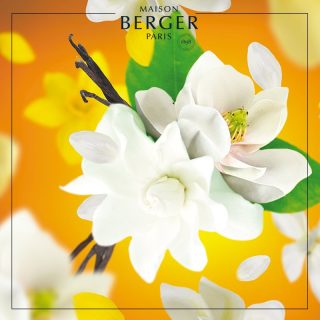 Maison Berger Paris, Náhradná náplň vône do auta Heavenly sun, Božské slnko, 2ks v balení 6427