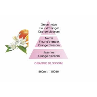 Maison Berger Paris, Katalytická Lampa, Sada Amphora, Červená, Pomarančový kvet (Orange blossom) 250ml 4491MB