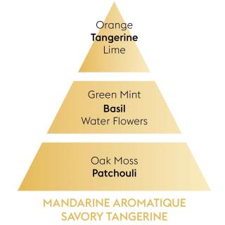 Maison Berger Paris, Vonný difuzér Revelry 80ml, Savory tangerine, Voňavá mandarínka 6443