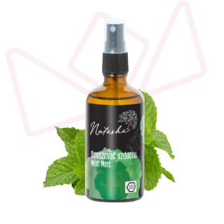 Natasha Osviežovač vzduchu Mint Mint 100ml